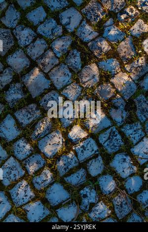 A textured cobblestone road surface, with tufts of grass growing between the stones, is illuminated by warm sunlight casting long shadows, creating a Stock Photo