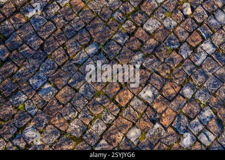 A textured cobblestone road surface, with tufts of grass growing between the stones, is illuminated by warm sunlight casting long shadows, creating a Stock Photo