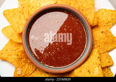 nachos and tomato salsa dip close up Stock Photo