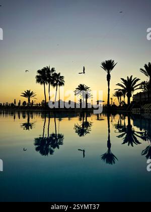 Setting sun behind Palm Trees, with swimming pool reflection. Iberostar Waves, Founty Beach Hotel, Agadir, Morocco. Stock Photo