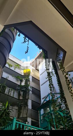 Tree growing inside old building ruins. UK Stock Photo - Alamy