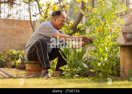Portrait of senior man gardening at home Stock Photo