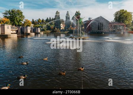Ducks on the lake in the park. Park in the fall. Autumn trees. Wild ducks are reflected in the lake. Multi-colored bird feathers Stock Photo