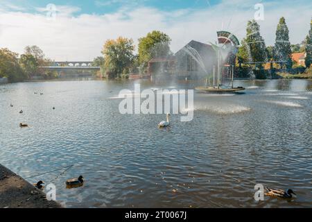 City fountain and pond with swan and ducks in Old European City Bietigheim-Bissingen In Germany. the City Park of Bietigheim-Bis Stock Photo