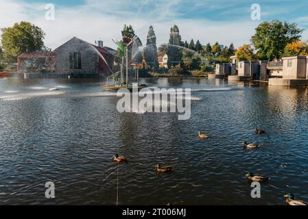 Ducks on the lake in the park. Park in the fall. Autumn trees. Wild ducks are reflected in the lake. Multi-colored bird feathers Stock Photo