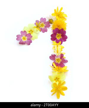 number made from freshly picked yellow, pink flowers. isolated on white background for birthday party, anniversary, one 1 Stock Photo