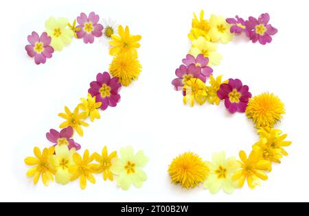 number made from freshly picked yellow, pink flowers. isolated on white background for birthday party, anniversary 25, 2, 5, twenty-five, twenty five Stock Photo