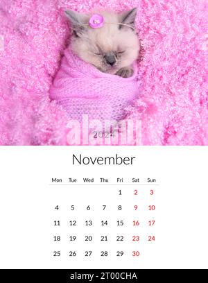 2024 Cat Wall Calendar - Free Printable Templates