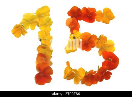 number made from freshly picked yellow, orange, red, flowers. isolated on white background for birthday party, anniversary, 15, 1, 5 Stock Photo