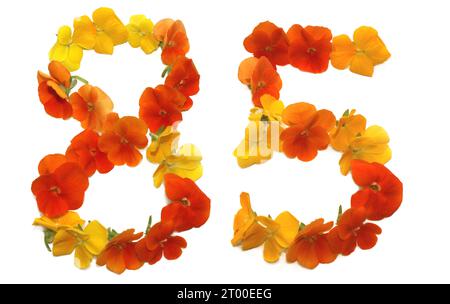 number made from freshly picked yellow, orange, red, flowers. isolated on white background for birthday party, anniversary, 85, 5 Stock Photo