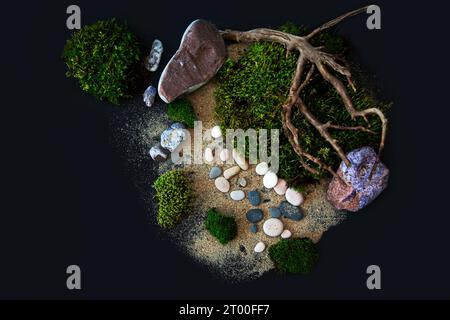 Green moss, stones, sand and crooked driftwood on a black background. Ecological background. Stock Photo