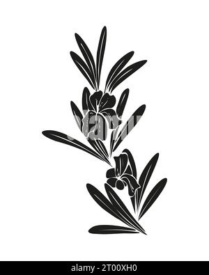 Rosemary branch silhouette black color. Isolated rosemary on white background. Vector illustration Stock Vector