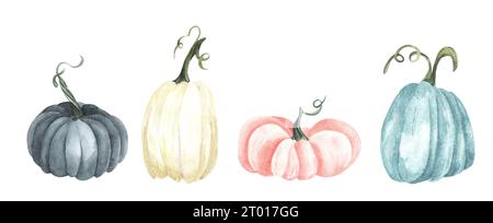 Watercolor pumpkin set, floral pumpkins, Halloween clip art, autumn design elements, fall arrangement of blue, pink and white pumpkins. Harvest illust Stock Photo