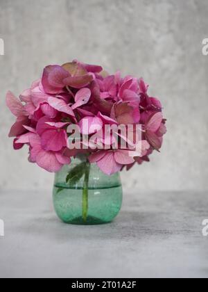 Close up of a pink hydrangea flowerhead in a green vase against a plain grey marble background Stock Photo