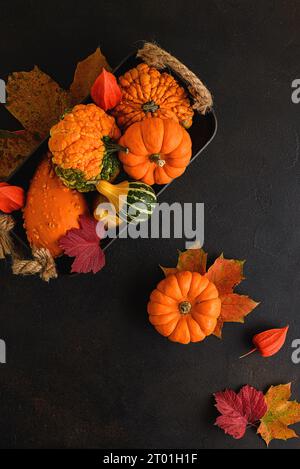 still life of pumpkins on a dark background. High quality photo Stock Photo