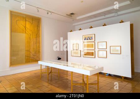 Room featuring a large sketch 'La Dance' / 'The Dance' left, and other works by the artist in the Musee Matisse gallery building in Nice, France. (135) Stock Photo