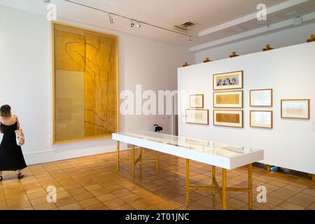 Room featuring a large sketch 'La Dance' / 'The Dance' left, and other works by the artist in the Musee Matisse gallery building in Nice, France. (135) Stock Photo