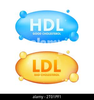 HDL and bad LDL cholesterol, great design for any purposes. Vector stock illustration Stock Vector