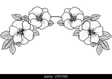 Flower Desktop Drawing White, succulent border, blue, branch, monochrome  png | PNGWing