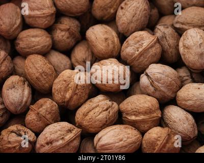 A background of freshly harvested walnuts. Close up. Stock Photo