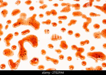 Red jam splashes isolated on a white background. Top view. Stock Photo