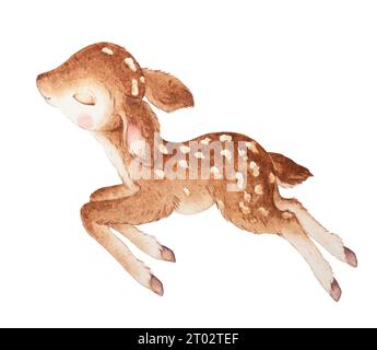 Cute Deer Illustration, Little Deer Sleeping Watercolor, Fawn Watercolor Illustration Stock Photo