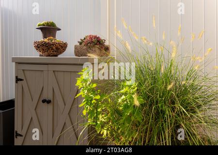 A little cabinet with different decorations and a flower pot with green plants on a terrace in front of a white divider Stock Photo