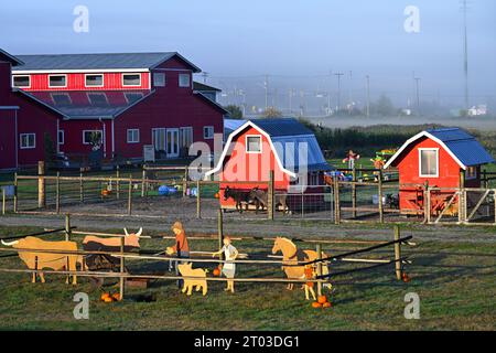 Fall attraction, Laity Pumpkin farm, Maple Ridge, British Columbia, Canada Stock Photo