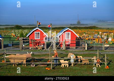 Laity Pumpkin Patch, Maple Ridge, British Columbia, Canada Stock Photo
