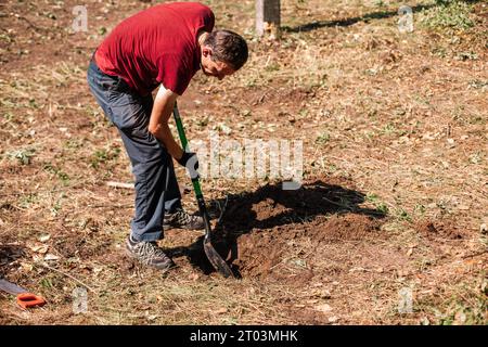 Man gardener digging  the ground with a shovel Stock Photo