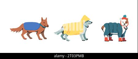 Dogs walks in bad weather. Dog in the fall and winter in the rain on a cold day. Vector illustration Stock Vector