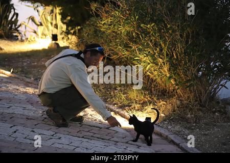 A handsome Dark Haired Middle aged Man with Beard & Moustache, wearing a Cream coloured Shirt, long Trousers & Shades, bends to stroke a Black Kitten. Stock Photo