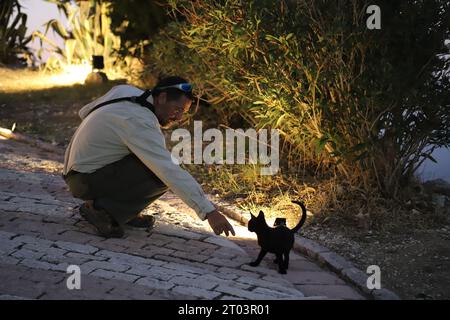 A handsome Dark Haired Middle aged Man with Beard & Moustache, wearing a Cream coloured Shirt, long Trousers & Shades, bends to stroke a Black Kitten. Stock Photo
