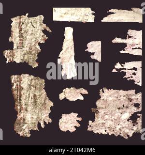 Paper scraps. Ripped papers, torn page pieces and scrapbook note paper piece. Texture page, textured memo sheet or notebook shred. Stock Photo
