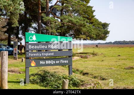 Beaulieu road car park New Forest National park,Hampshire,England,UK Stock Photo