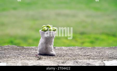 Neem fruit with neem sticks and neem leaf isolated on white background. Neem is an excellent moisturizing and contains various compounds that have ins Stock Photo