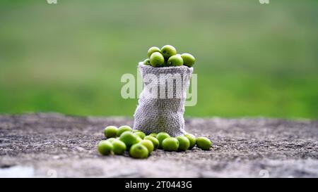 Neem fruit with neem sticks and neem leaf isolated on white background. Neem is an excellent moisturizing and contains various compounds that have ins Stock Photo