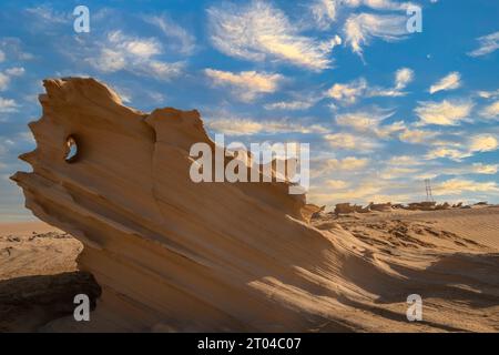 Fossil Rocks in the Desert of the United Arab Emirates. Stock Photo