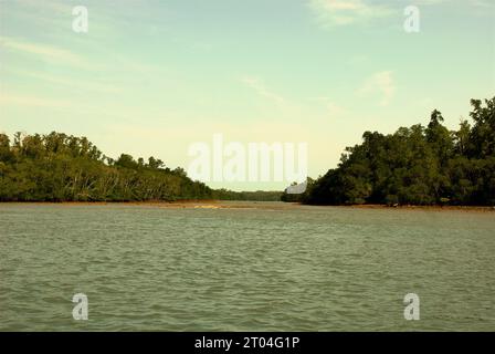 Mangrove forest and coastal landscape of Handeuleum Island, a part of Ujung Kulon National Park area in Pandeglang, Banten, Indonesia. 'Ujung Kulon National Park was a wildlife reserve, which was later extended to the sea, mainly to protect coral reef ecosystem in the area or as the buffer area,' wrote Tonny Soehartono and Ani Mardiastuti in their 2014 work (National Park Governance in Indonesia: Lessons Learned from Seven National Parks). 'Most national parks in Indonesia were established in the periods of 1980s and 1990s. The park areas were originally either strict nature reserves or... Stock Photo