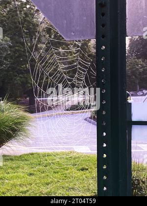 An intricate spider web hanging from a stop sign in Somers, New York. Stock Photo