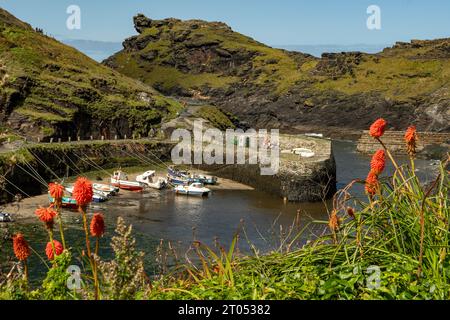 The Harbour, Boscastle, Cornwall, England Stock Photo