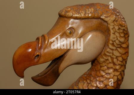 Extinct Dodo bird reconstruction Stock Photo
