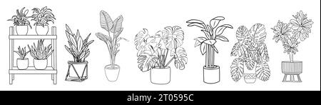 Set of Houseplants outline vector drawing isolated Stock Vector