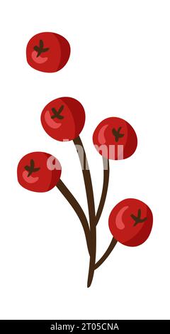 Viburnum fruits or berries icon, food from farm garden and wild forest, vector. Autumn brunch ripe harvest for jam or juice package food ingredient Stock Vector
