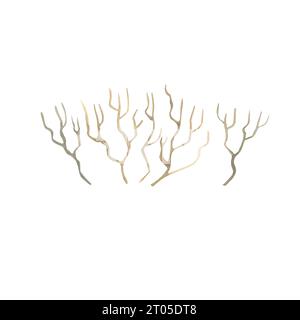 twigs without leaves painted in watercolor, illustration of autumn and winter branches Stock Photo