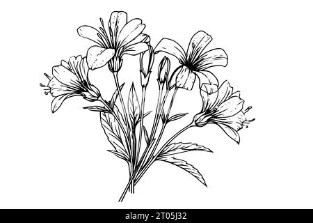 Wild flower hand drawn ink sketch. Engraved retro style vector illustration. Stock Vector