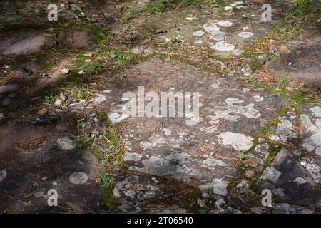 stone floor Stock Photo