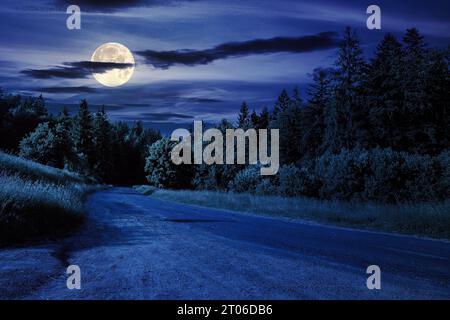 asphalt road with cracks winding through shaded coniferous forest at night. beautiful countryside scenery in full moon light Stock Photo