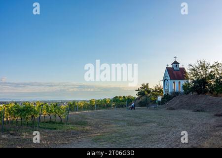 Traiskirchen: vineyard, chapel Urbanuskapelle in Wienerwald, Vienna Woods, Niederösterreich, Lower Austria, Austria Stock Photo