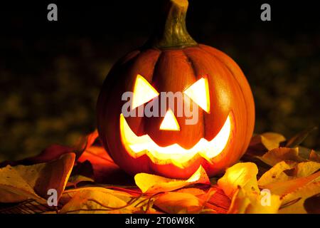 Halloween Jack-o-lantern in autumn leaves glows in dark. carved pumpkin lantern with sinister grimace is an attribute of Halloween. Outdoor, October. Stock Photo